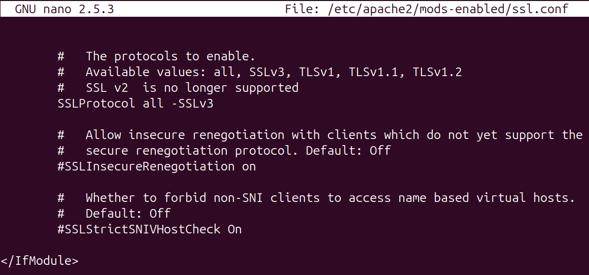 Image of a configuration file showing only SSLv3 is blocked as an option